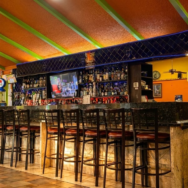 Two people seated at a vibrant bar with a fully stocked liquor shelf and television.